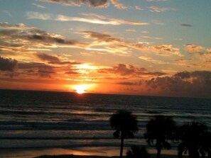 Ein Sonnenuntergang über dem Meer mit Palmen im Schatten.