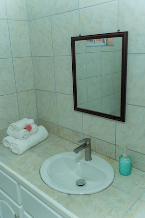 Ducha, toallas, jabón, papel higiénico