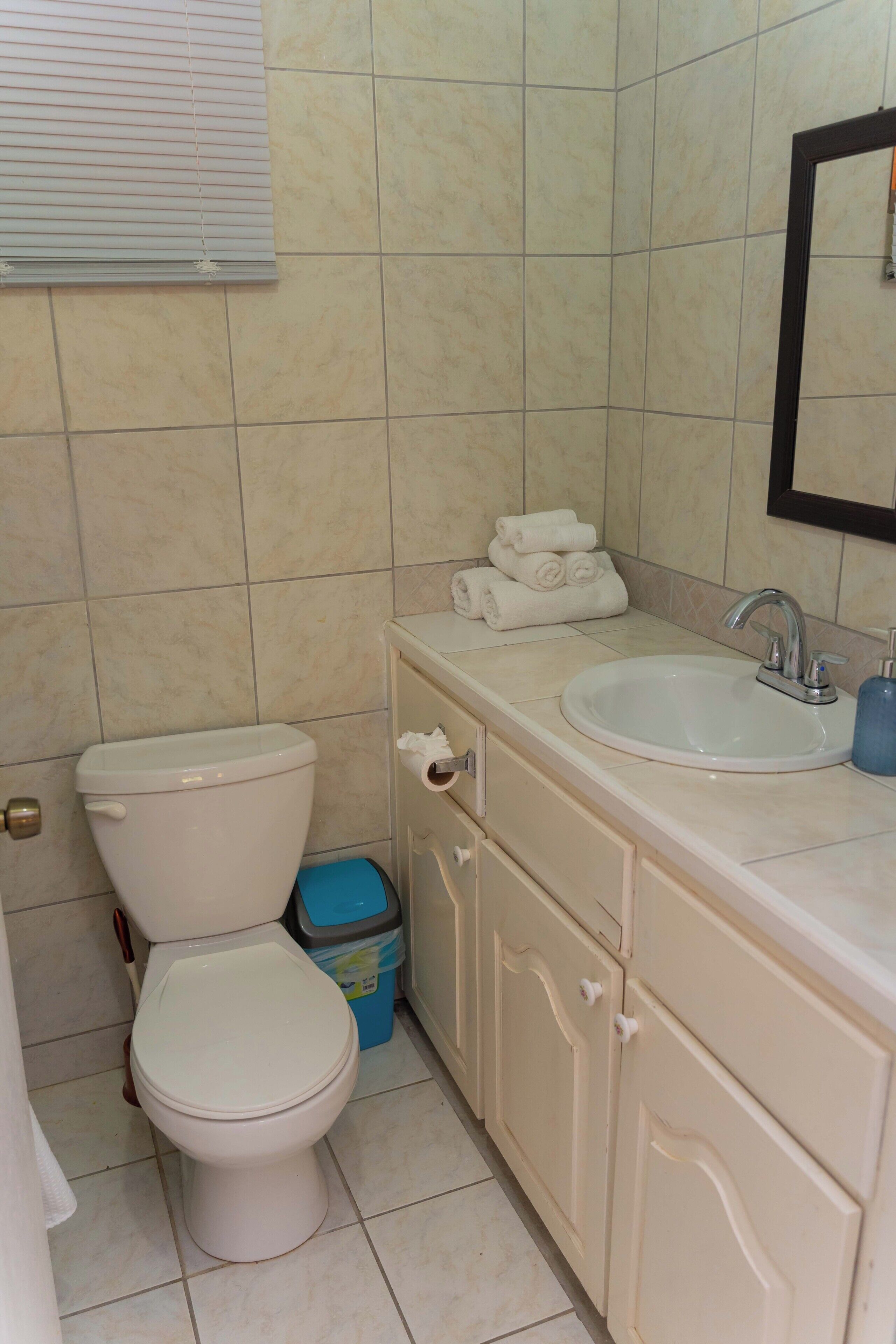 Shower, towels, soap, toilet paper