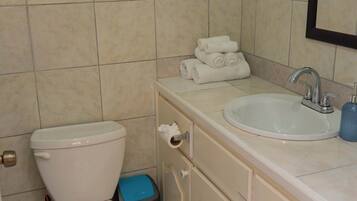 Shower, towels, soap, toilet paper