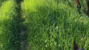 A person riding a horse in a grassy field with a clear sky. - Gite des Chemins de la Paillardiere (Saint-M'Hervé)