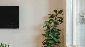 Una habitación con una televisión de pantalla plana montada en la pared, una planta en maceta, una mesita con un libro y una ventana con persianas.