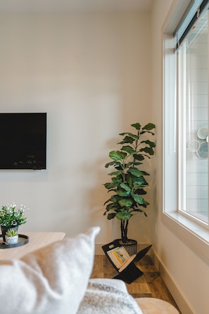 Una habitación con una televisión de pantalla plana montada en la pared, una planta en maceta, una mesita con un libro y una ventana con persianas.