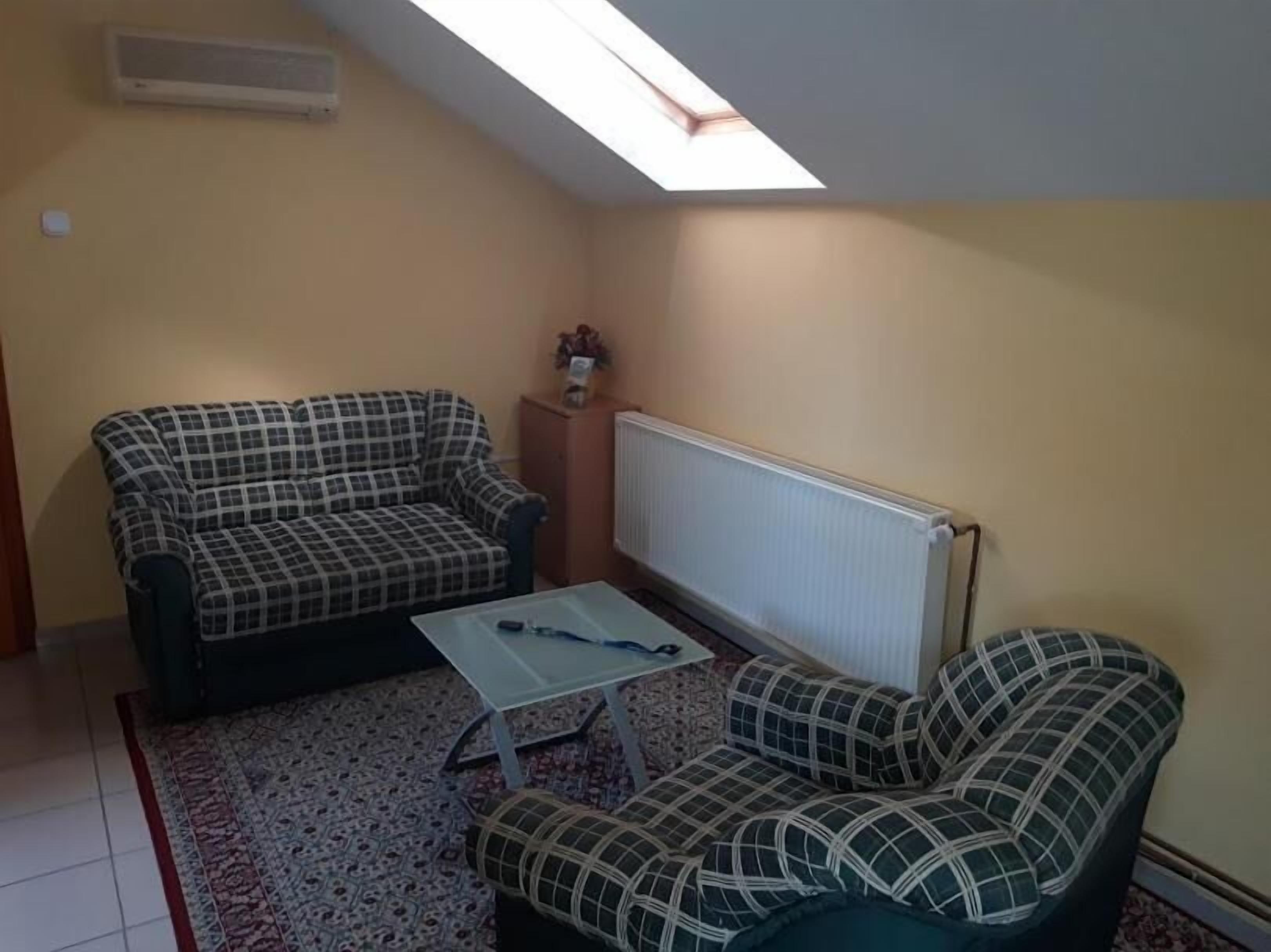 A room with two sofas, a small table, a radiator, and a skylight.