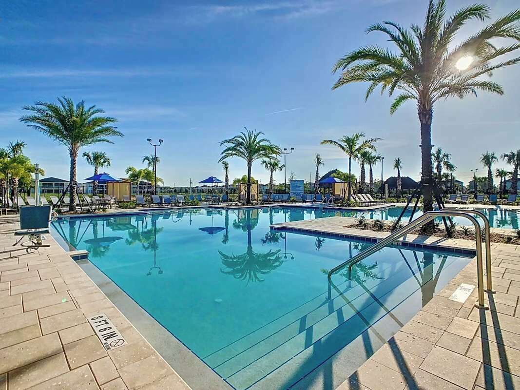 Une piscine à l’eau claire, entourée de palmiers et de chaises longues.