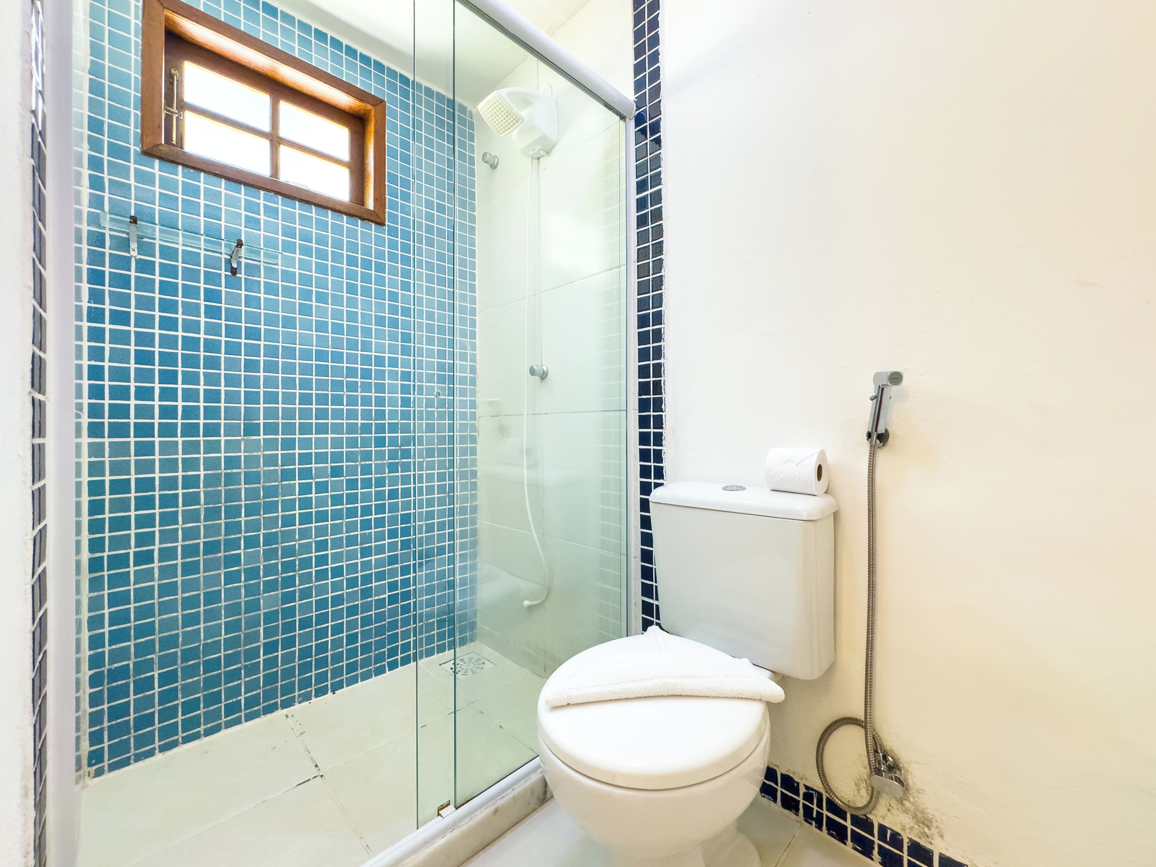 A bathroom with a glass shower enclosure, a toilet, and a window.