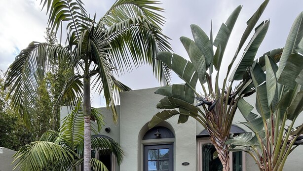 A house with a grey facade, a red staircase, and a palm tree in the front yard. - Charming Furnished Casita with Private Yard in South Park/Golden Hill (San Diego)