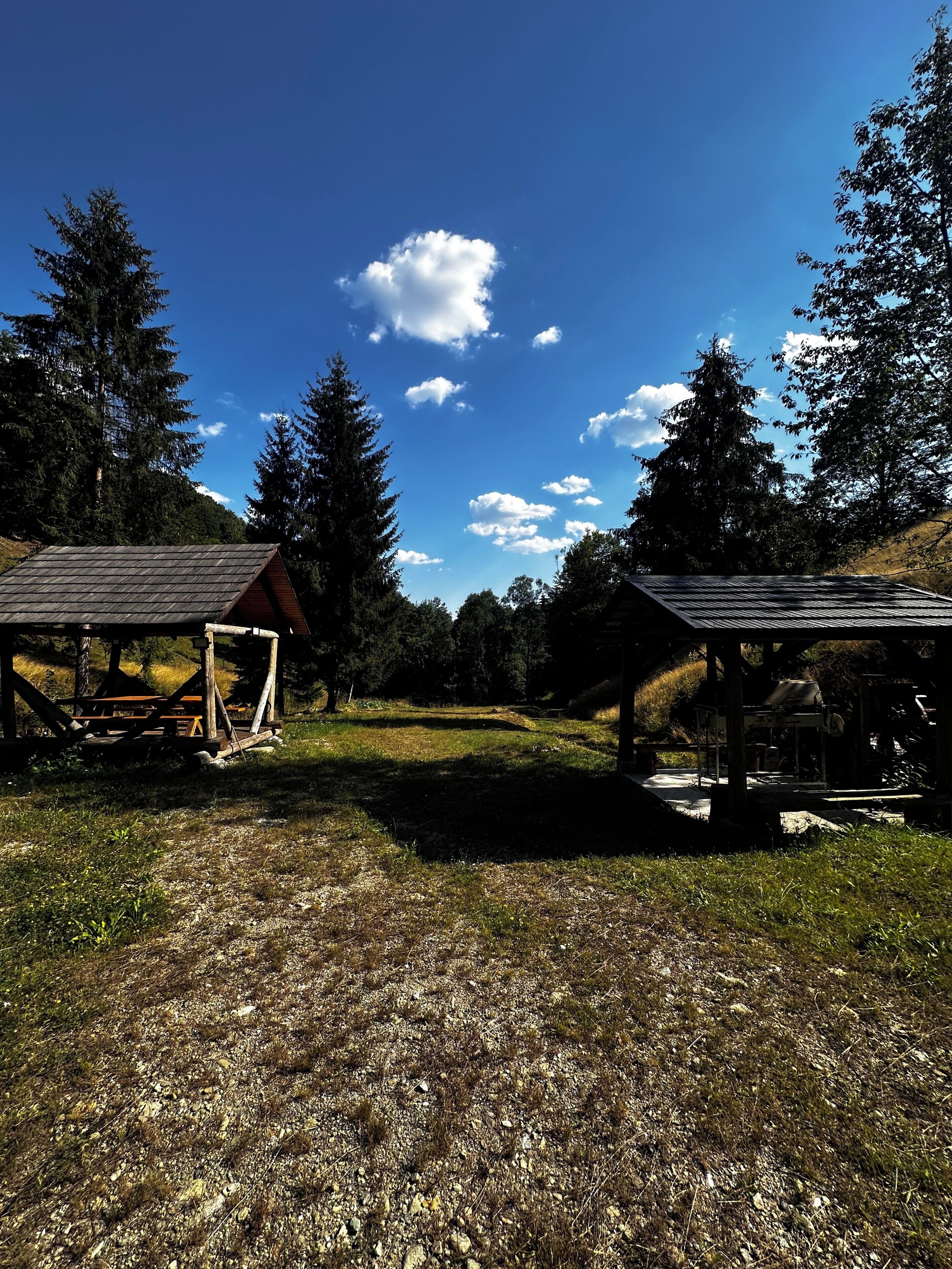 Un paysage rural avec deux constructions en bois, l’une dotée d’un toit en pente et l’autre d’un toit plat, le tout entouré d’arbres et de vastes espaces herbeux.
