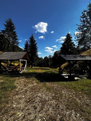A rural setting with two wooden structures, one with a sloped roof and the other with a flat roof, surrounded by trees and open grassy areas. - House of the SoulCharming 12-bedroom chalet  in Avram Iancu (Avram Iancu)