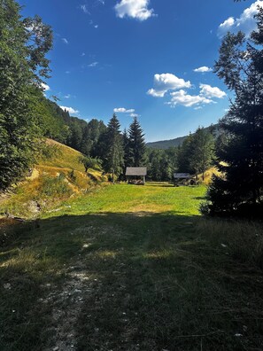 A rural landscape with a clear sky, a grassy field, and a small building with a shed.