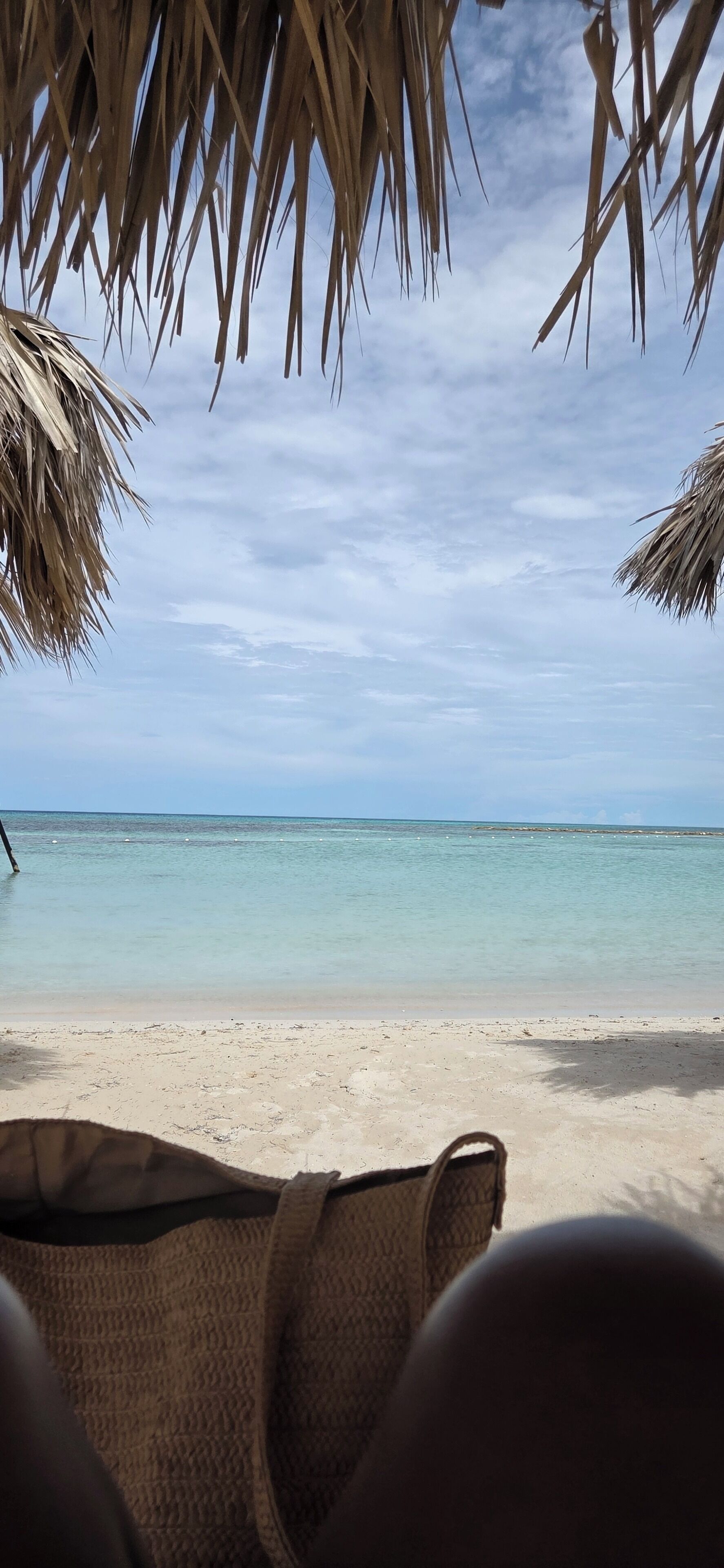 Une vue sur la plage, avec un ciel dégagé, une mer calme et un hamac au premier plan.