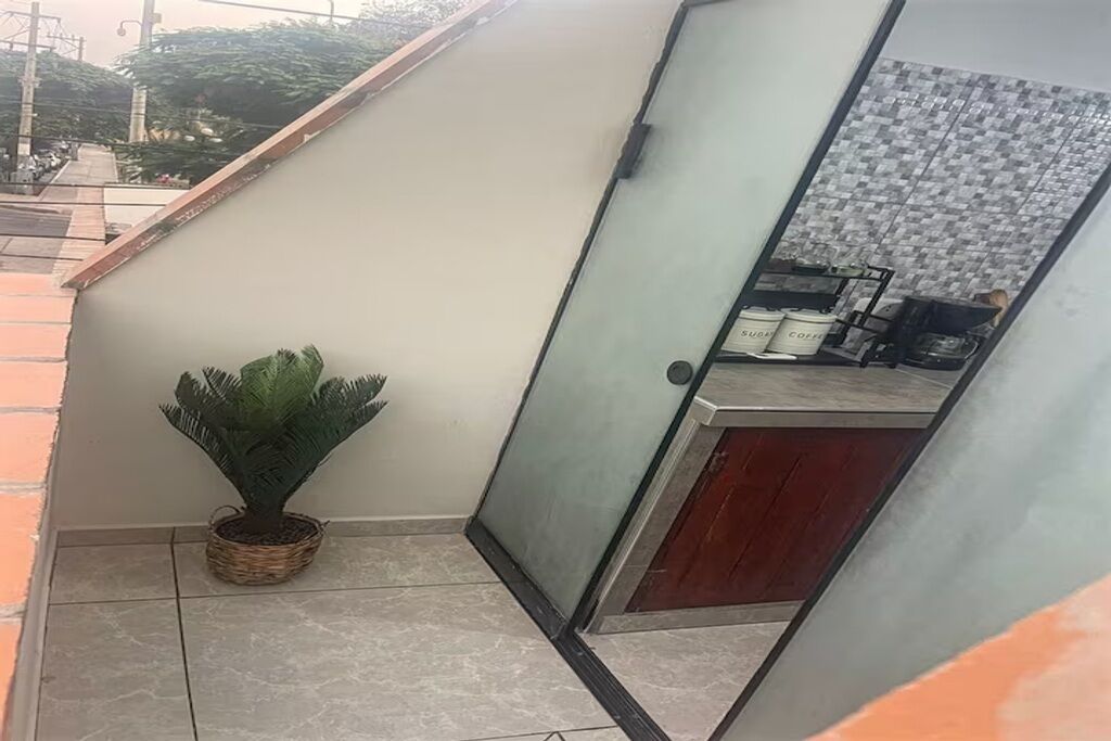 Un coin de pièce avec un sol carrelé, une plante en pot, un meuble avec une porte en verre et un mur également carrelé.