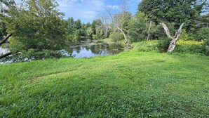 A grassy area with a pond surrounded by trees and vegetation. - MINI Camper -fully equipped stationary (Champlain)