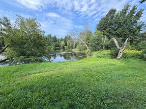 Eine grüne Rasenfläche mit Teich, umgeben von Bäumen und Vegetation.