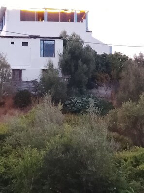 A modern white building with a flat roof, surrounded by dense shrubbery.