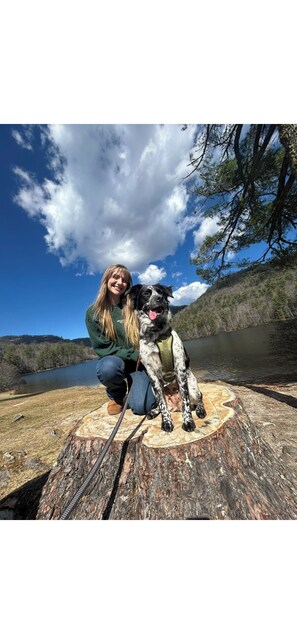 Pet-friendly - Have a Legendary time at the Bigfoot Bungalow located in beautiful Sapphire,NC (Sapphire)
