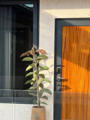 Una planta en maceta frente a un edificio con puerta de vidrio y puerta de madera.
