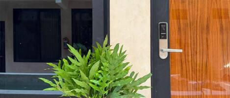 A potted plant in front of a building with a window and a door.