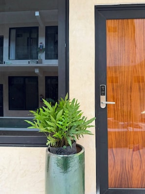 Una planta en maceta frente a un edificio con una ventana y una puerta.