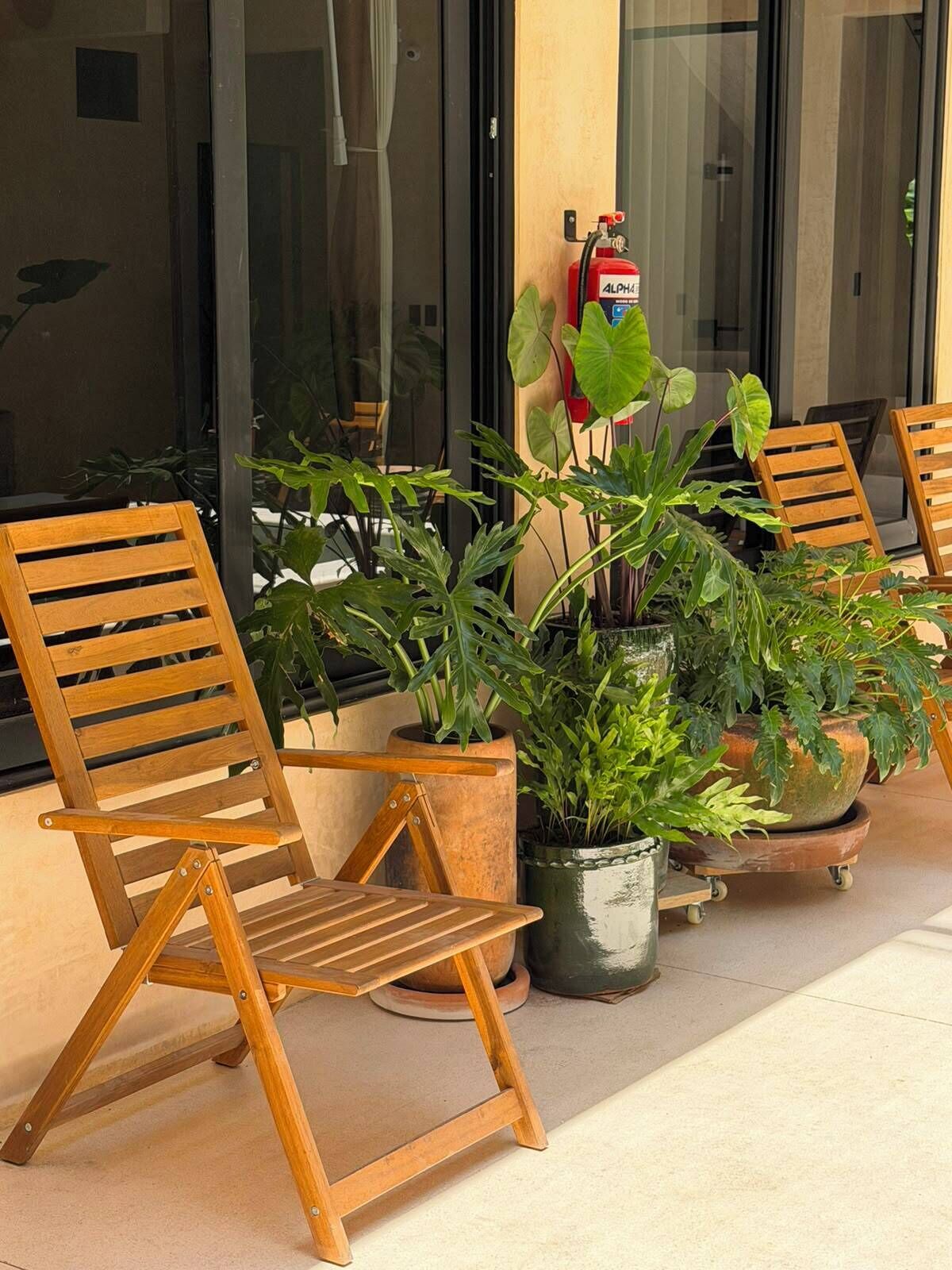 Una sedia di legno e una pianta in vaso su un balcone.