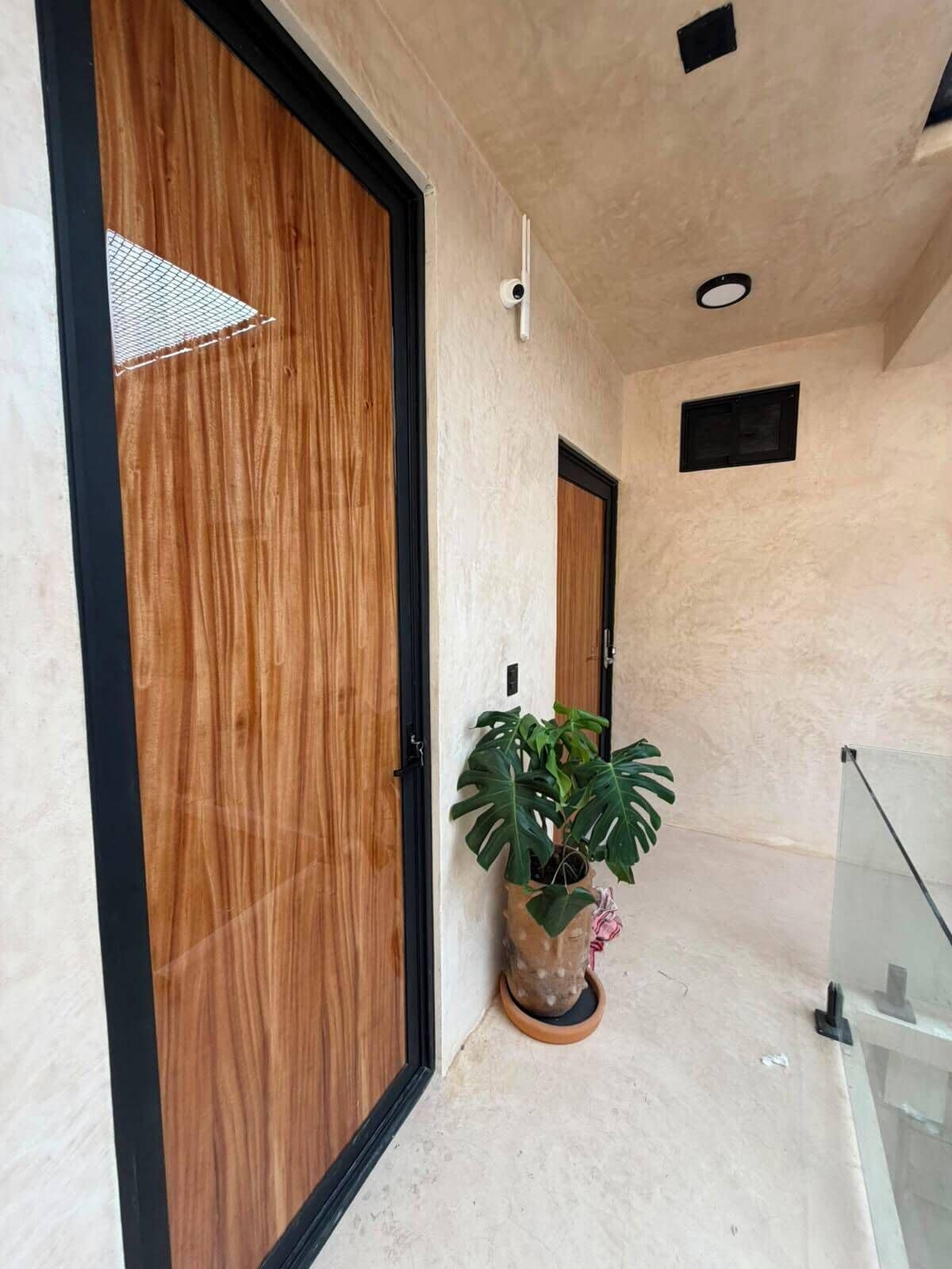 Un couloir avec des portes en bois, une plante en pot et une rambarde en verre.