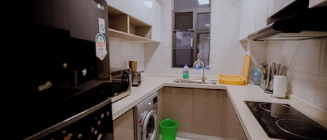 Una cocina compacta con lavadora, lavamanos y estufa.