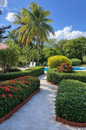 Un jardín cuidado con un sendero de grava, palmeras y una zona de piscina.