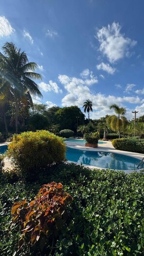 A pool surrounded by lush greenery and palm trees under a clear sky. - La Villa Banileja 2 Pools BBQ 2 Billiards (Bani)