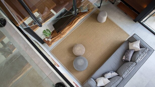 Un espacio de sala moderno con un sofá gris, dos cojines redondos y una planta pequeña sobre una alfombra con textura.