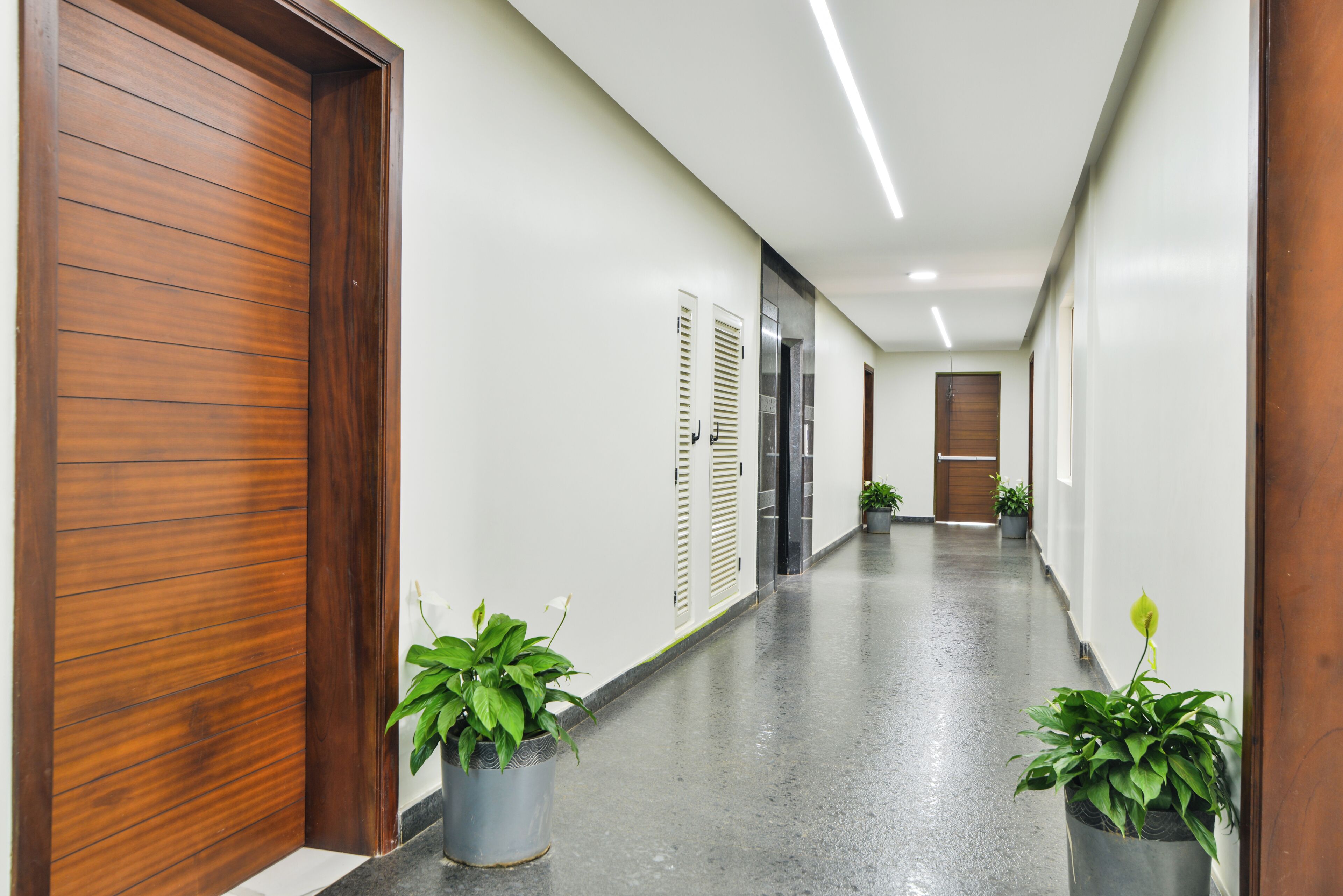 Un pasillo con puertas de madera, paredes blancas y plantas en macetas.