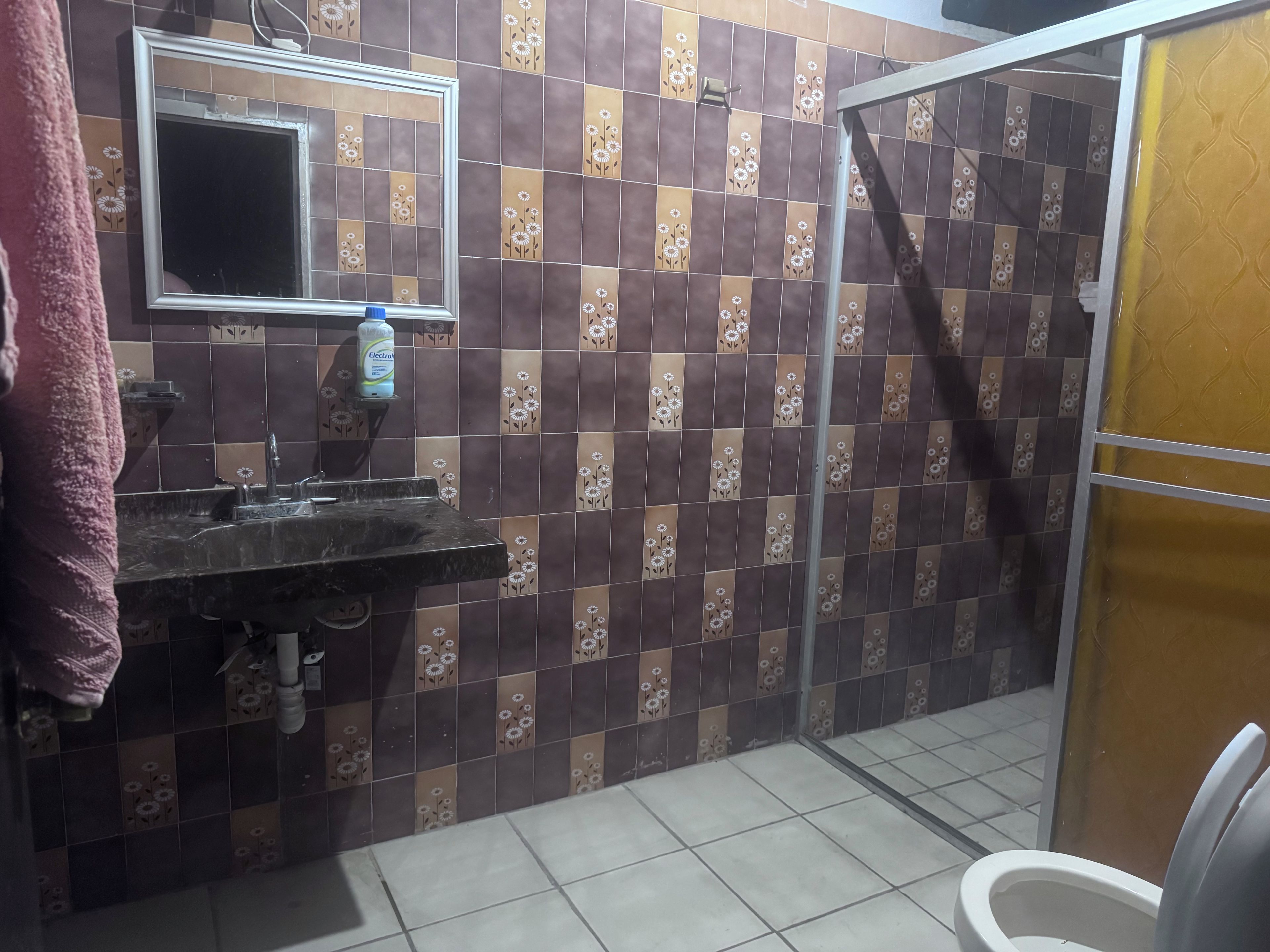 A bathroom with a sink, mirror, shower, and toilet.