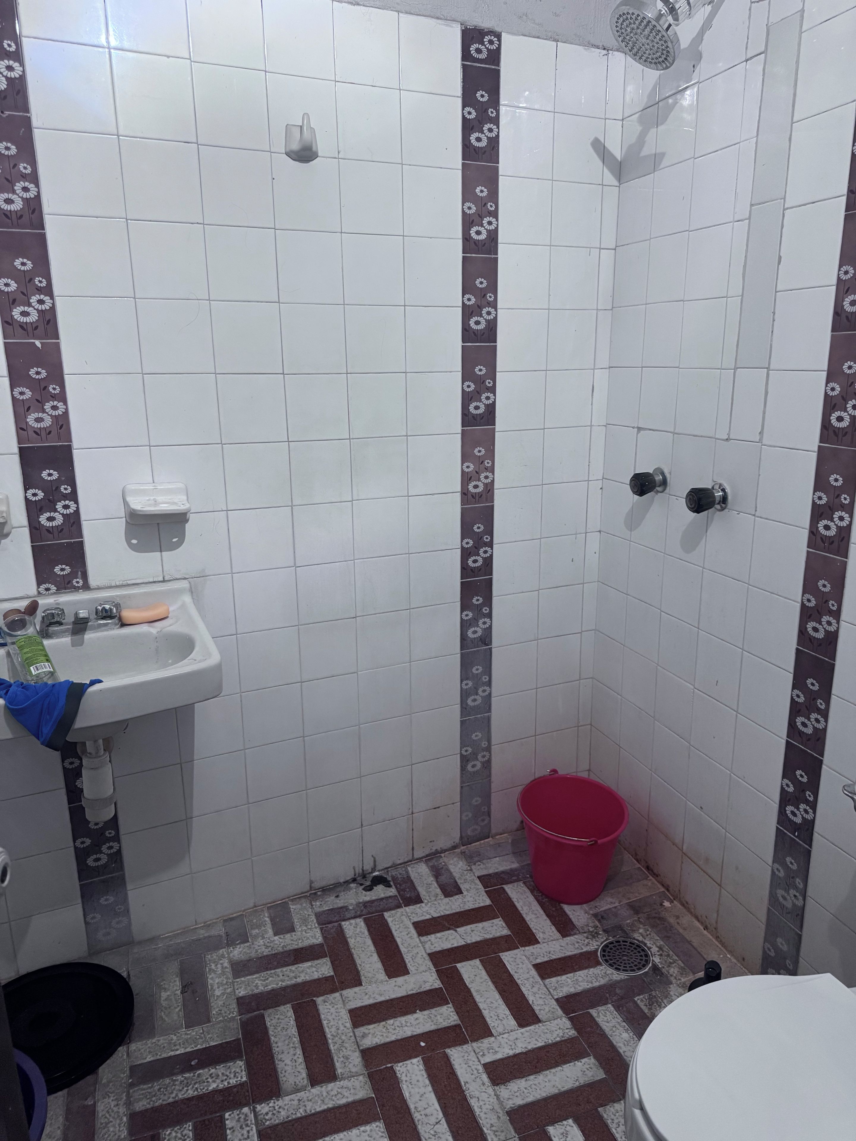 A small bathroom with a sink, toilet, shower, and a red bucket.