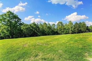 A grassy field with a row of trees and a clear sky. - The Adventure Center (Pineville)