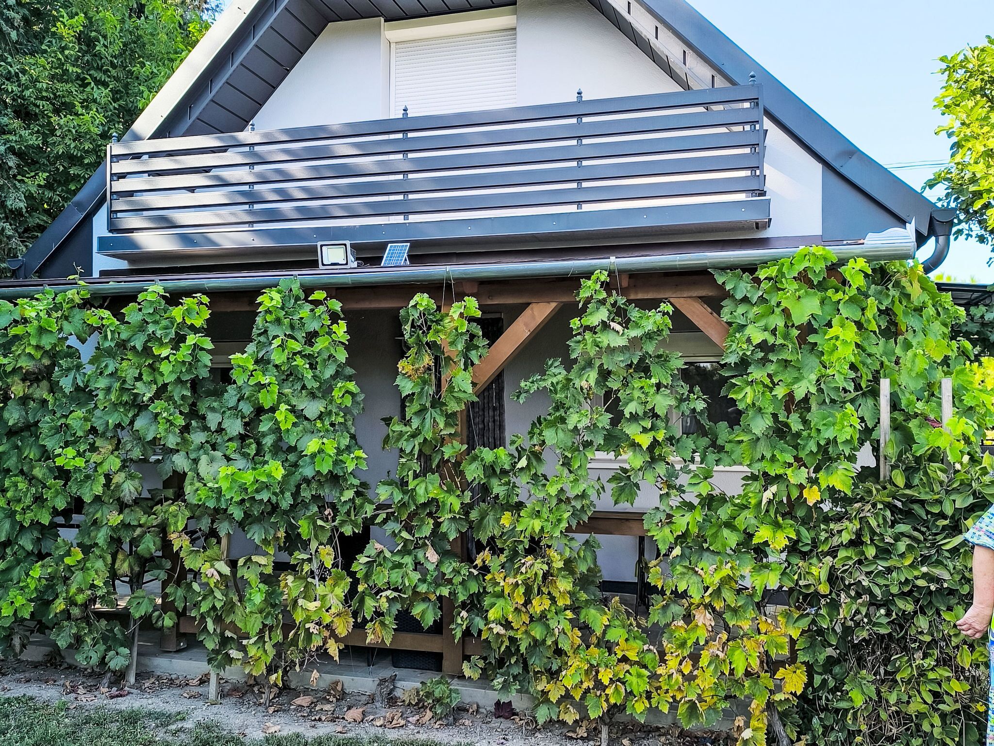 Un bâtiment doté d’un toit en pente et d’un mur recouvert de lierre.