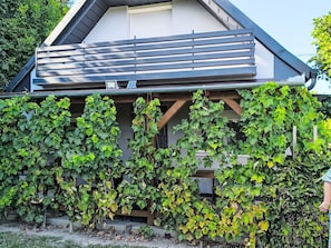 A building with a sloped roof and a vine-covered wall. - Babaház by Interhome (Balatonmariafurdo)