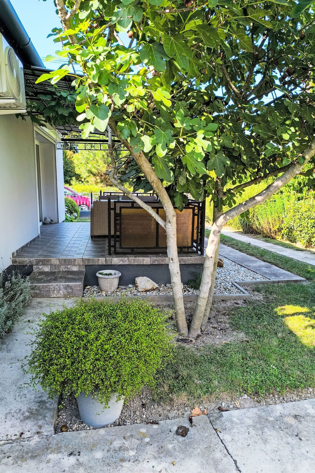 Eine Terrasse mit einem kleinen Baum, einer Sitzgelegenheit mit Tisch und Stühlen sowie einem Blumentopf.