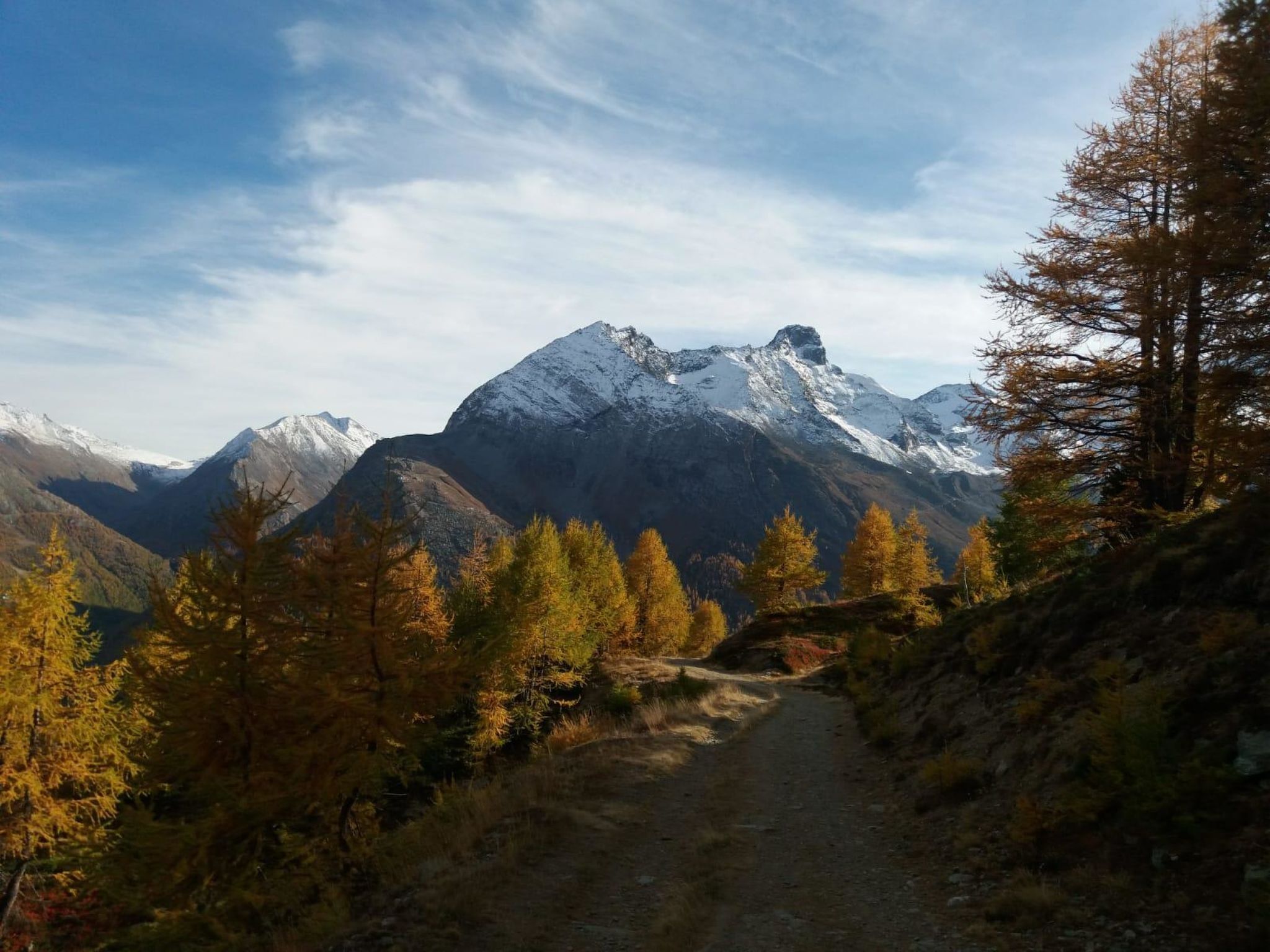 A mountain path with snow-capped peaks and autumn-colored trees.