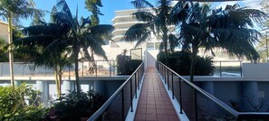 A pathway leading to a building with a modern design, surrounded by palm trees and a clear sky.