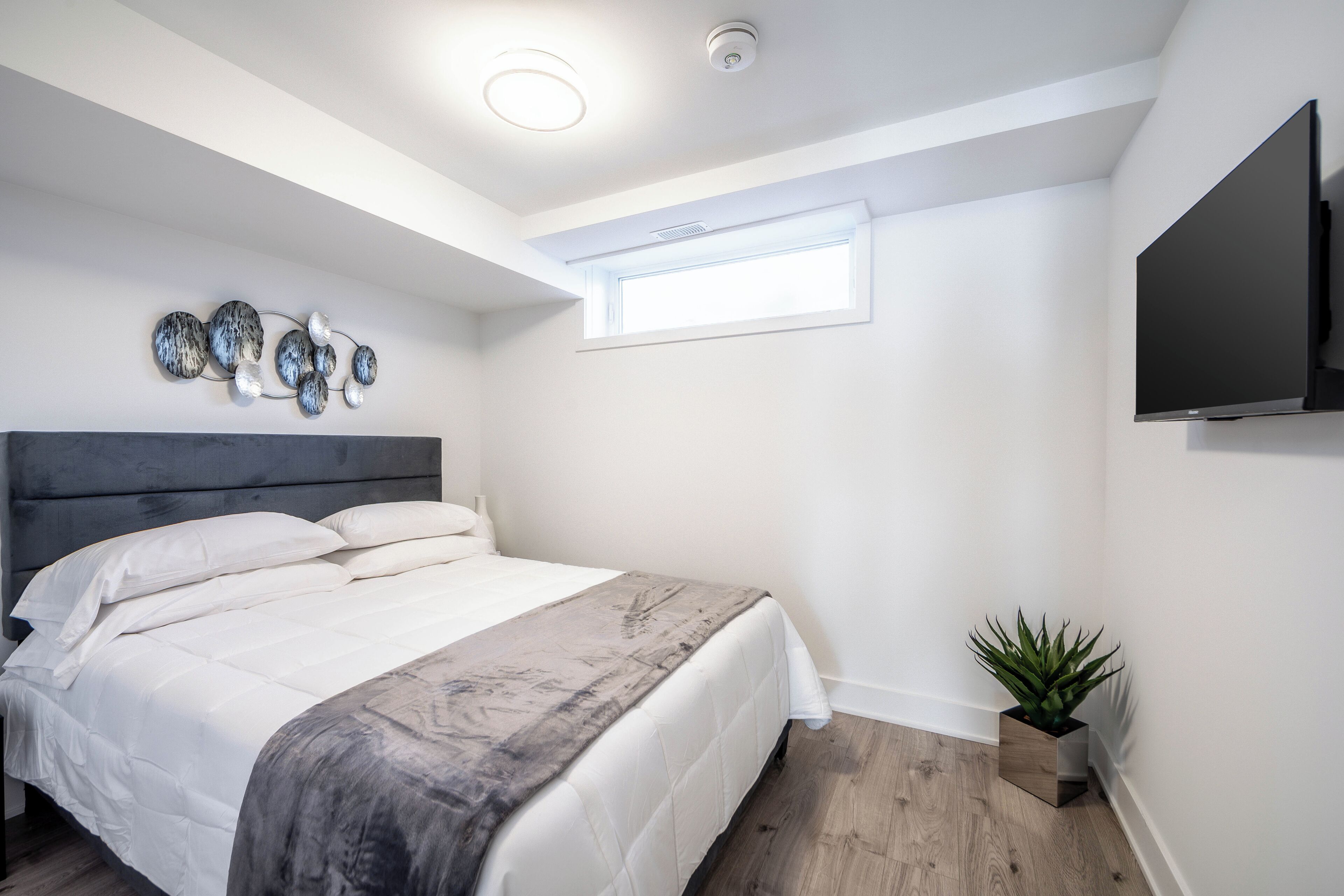 A modern bedroom with a large bed, a ceiling light, a window, a mounted TV, and a potted plant.