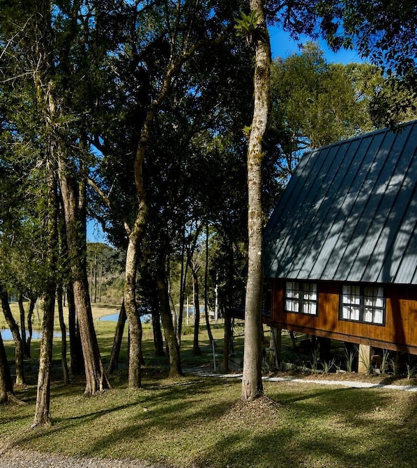 A rustic cabin with a metal roof, surrounded by tall trees and a grassy area.