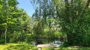 A stone bench in a lush green park with a pond and dense foliage.