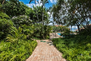 A paved pathway leading to a pool area surrounded by lush greenery and palm trees.