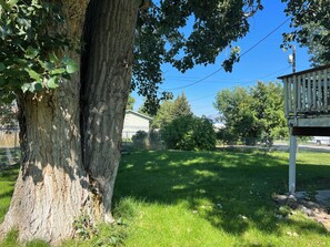 Un grand arbre à l’écorce épaisse et au feuillage dense, une cour gazonnée, une clôture blanche et une maison avec un garage en arrière-plan.