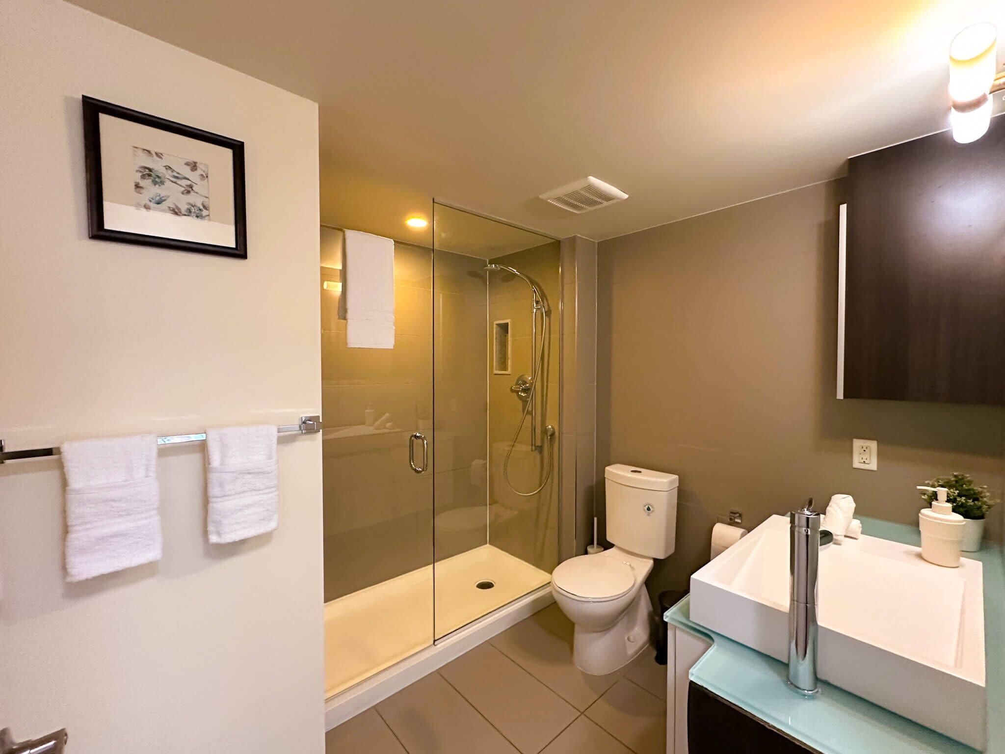 A modern bathroom with a glass-enclosed shower, a toilet, and a sink with a mirror.