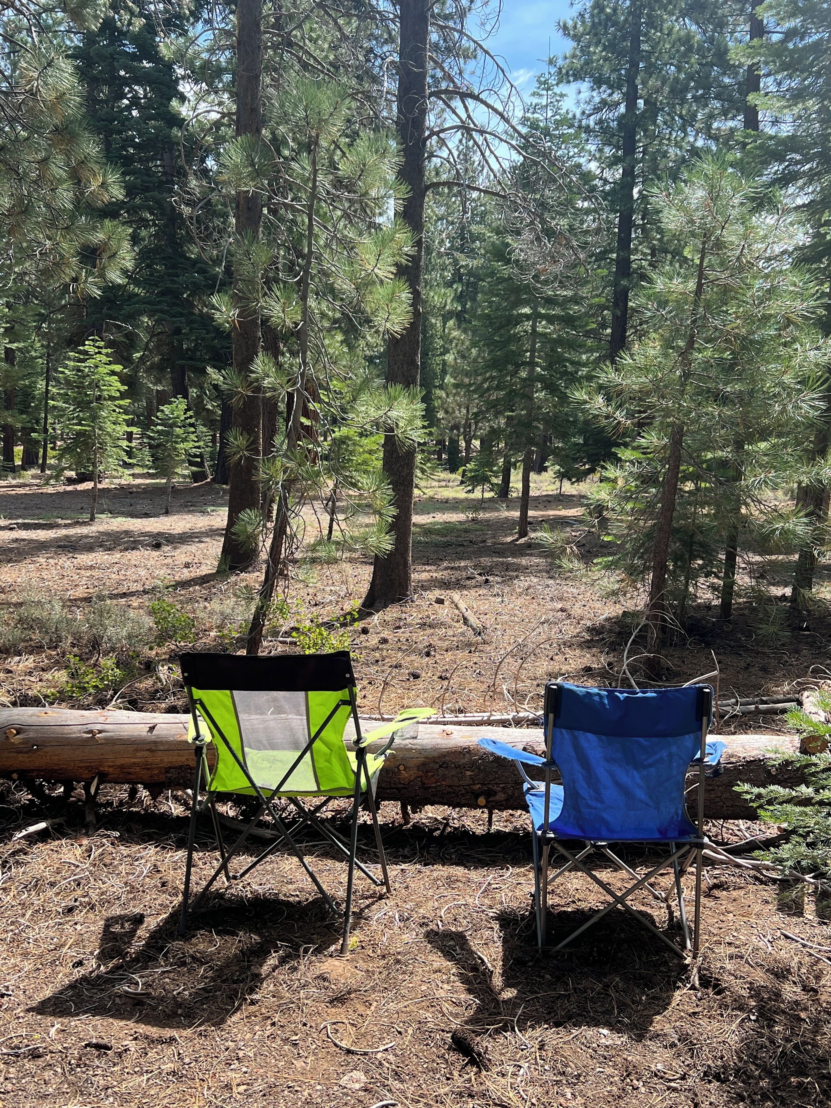 Zwei Campingstühle in einer bewaldeten Gegend mit Bäumen und Baumstämmen.