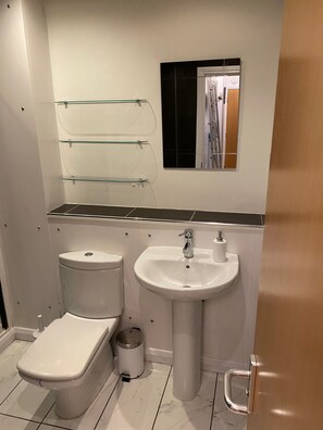 Ein Badezimmer mit Toilette, Waschbecken und Glastrennregalen.