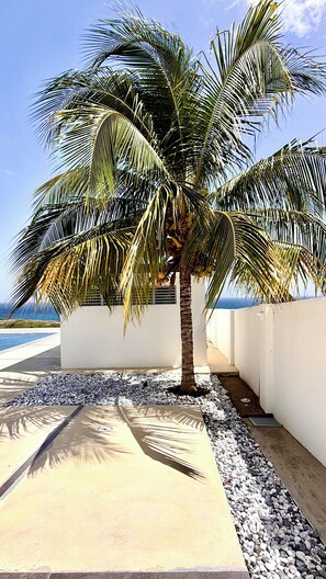 A palm tree in a landscaped area with a pool and a view of the ocean. - Casa Mar Ensueño/Luxury beachfront property with a pool. 5 minutes to the beach. (Tierras Nuevas Poniente)