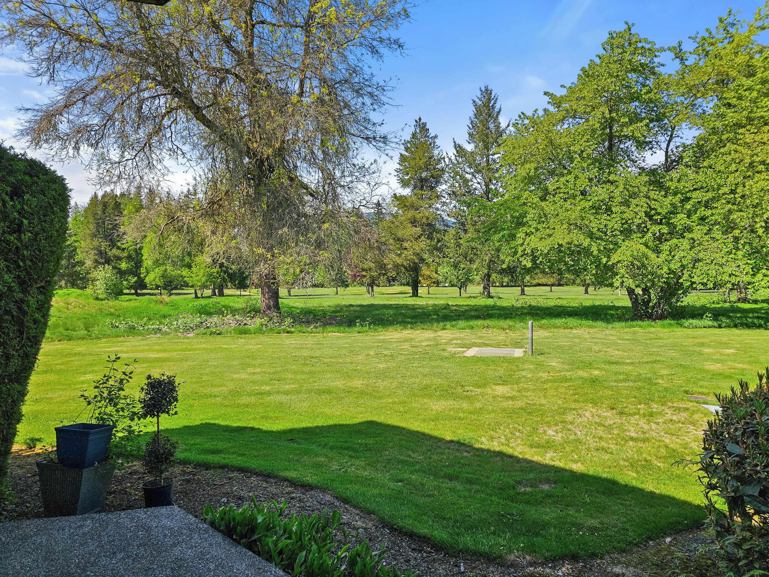 Een verzorgd park met diverse bomen, een heldere lucht en een gazon met een betonnen pad.