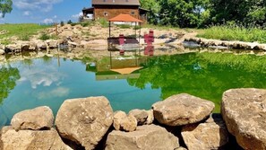 A pond with rocks in the foreground, a wooden structure with chairs, and a building in the background.