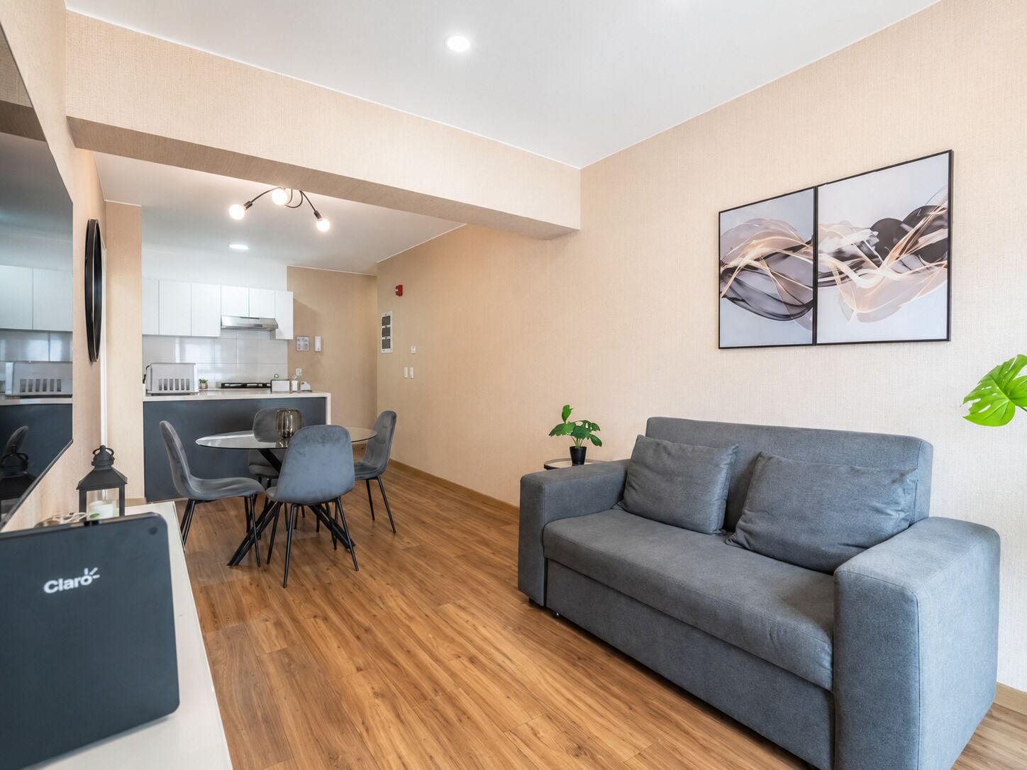 Apartamento, 1 cama de matrimonio con sofá cama, baño privado | Sala de estar